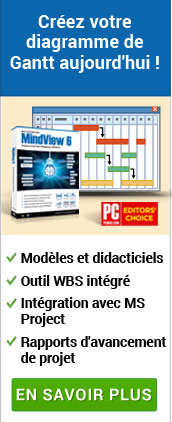 logiciel de mind mapping